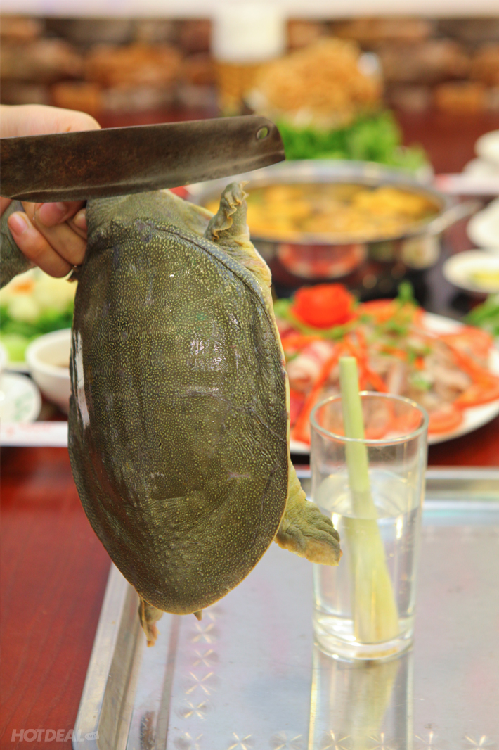 Cắt tiết ba ba