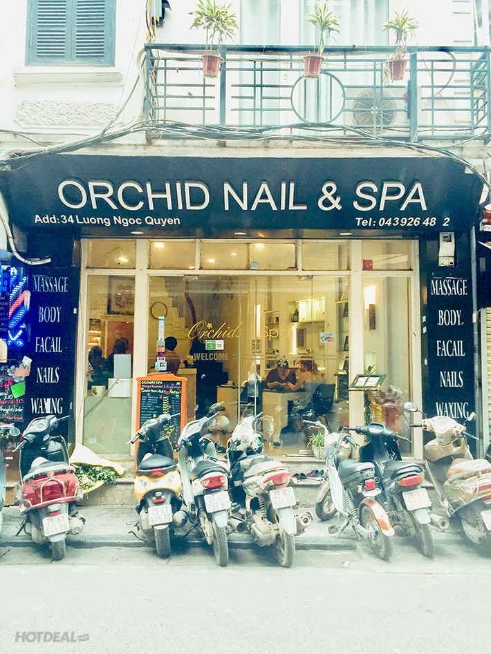 Foot Massage ThẢo DƯỢc TỰ NhiÊn Trong Trung TÂm PhỐ CỔ TẠi Orchids Spa