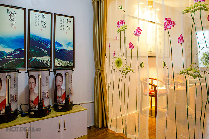 Dưỡng Sinh Kinh Lạc - Chăm Sóc Sức Khỏe Tại Sen Healthy Beauty Spa