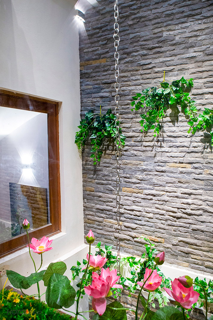 Dưỡng Sinh Kinh Lạc - Chăm Sóc Sức Khỏe Tại Sen Healthy Beauty Spa